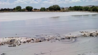 Salinelle